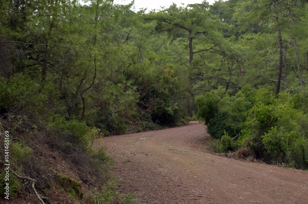 Fototapeta premium Mountain landscape in the vicinity of Marmaris