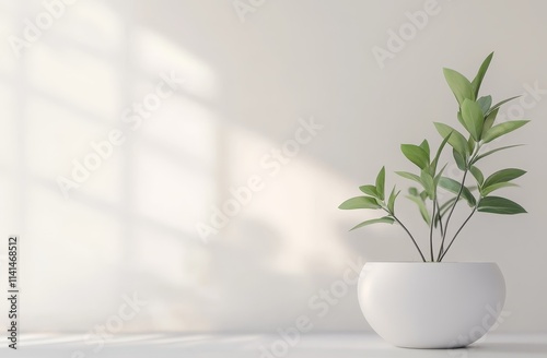 Minimalist plant in white pot, sunlight on wall.