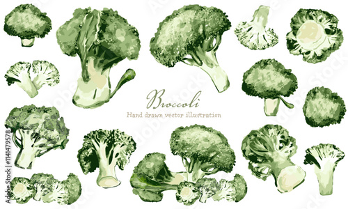 水彩で描いたブロッコリーの素材セット