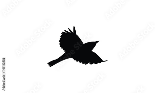 Flying Thrush Bird Silhouette Design  And Vector Illustration. 