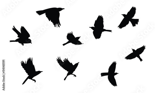 Flying Thrush Bird Silhouette Design  And Vector Illustration. 