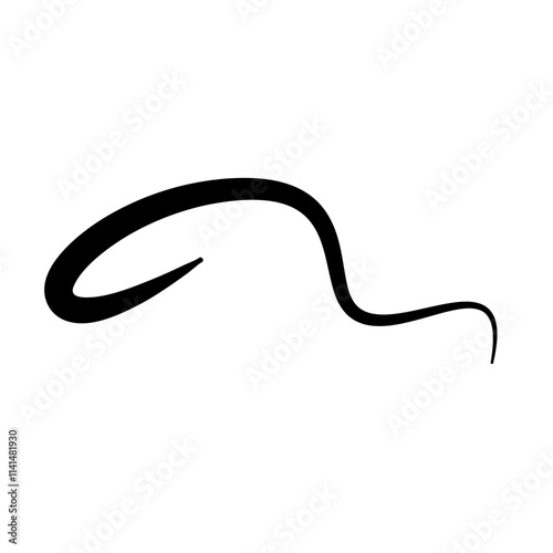 Swoosh underline, swish, swoop line vector. Caligraphic swivel curved. Element for typography. Black brush stroke. Isolated on white background. Retro style text tail