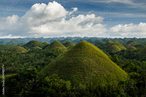 Scenic View of the Chocolate Hills in Bohol, Philippines