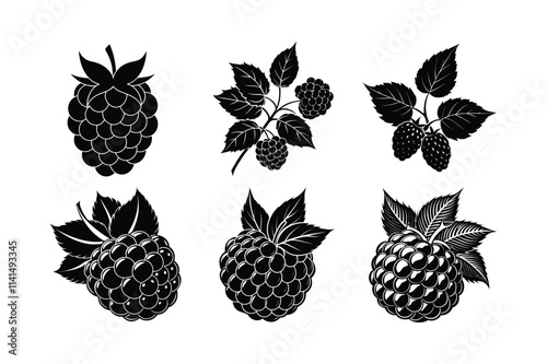 Blackberry (Rubus fruticosus) silhouette design, labeled linocut vector illustration.