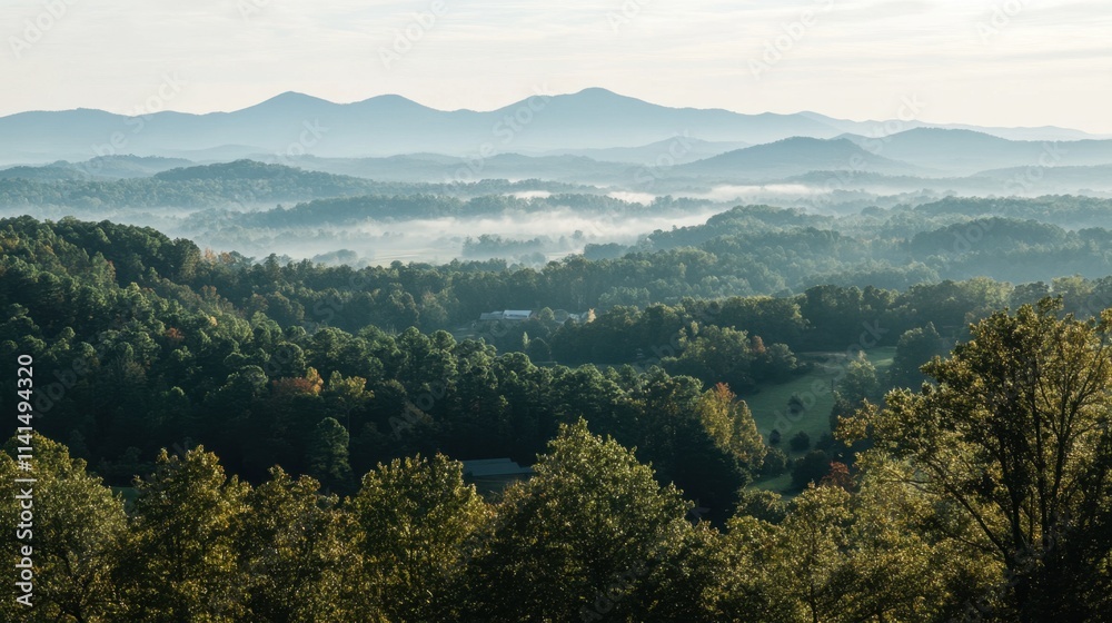 Misty Mountain Landscape with Lush Forest and Rolling Hills at Sunrise Misty Mountain Landscape with Lush Forest and Rolling Hills at Sunrise
