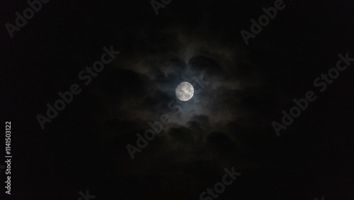 moon in the night