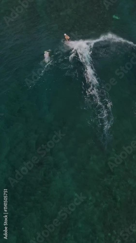 Wallpaper Mural Drone point of view at of surfer in Indian Ocean at sunny day Torontodigital.ca