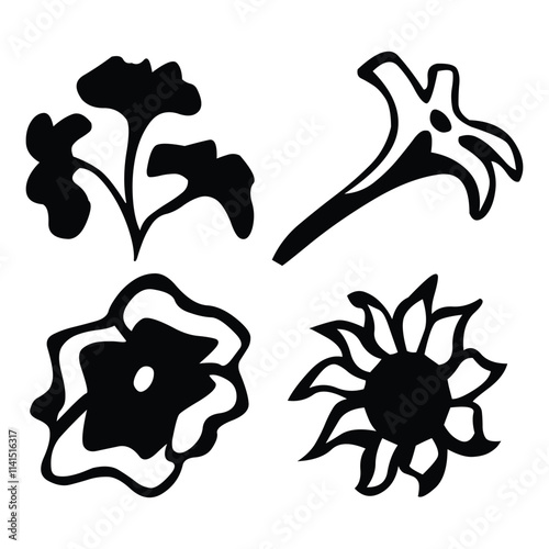 illustration of a set of shells