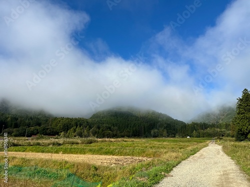 里山の風景