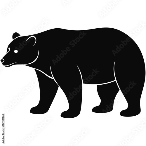 illustration of a bear
