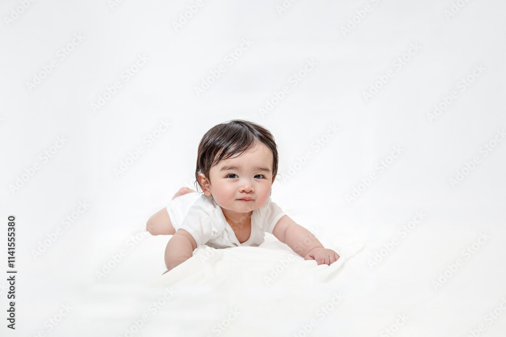 ハイハイするカメラ目線の赤ちゃんの正面