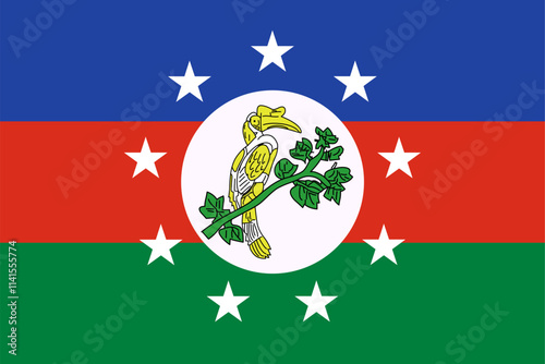 Flag of Chin State. Vector illustration