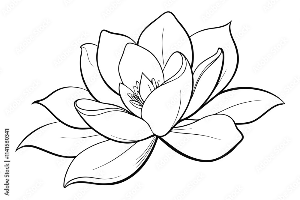 Discover the Beauty of Magnolia in Line Silhouette Art Discover the Beauty of Magnolia in Line Silhouette Art
