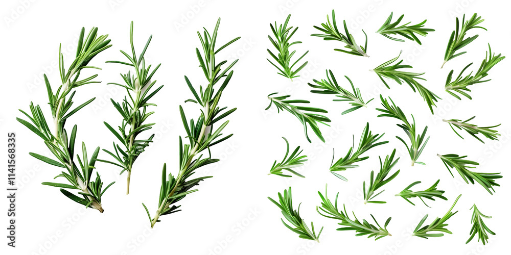 Naklejka premium Fresh green organic rosemary leaves isolated on a white background. Generative AI.