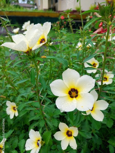 Beautiful White Flowers in a Lush Garden Setting