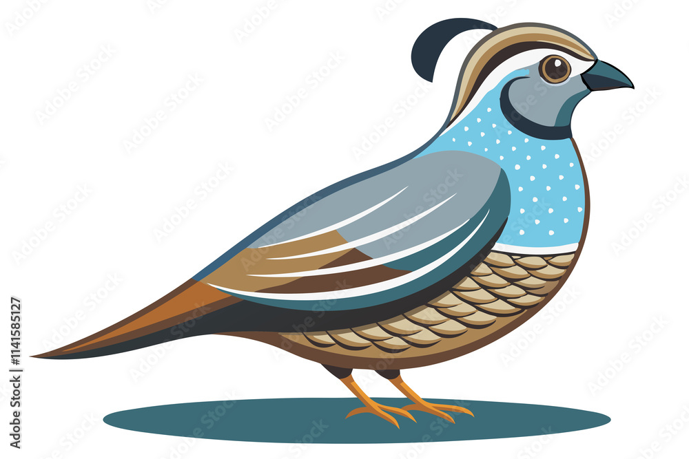 Fototapeta premium California Quail Bird Artwork Illustration – Stunning Wildlife Art for Your Collection