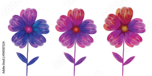 Watercolor flower design, beautiful colorful flowers