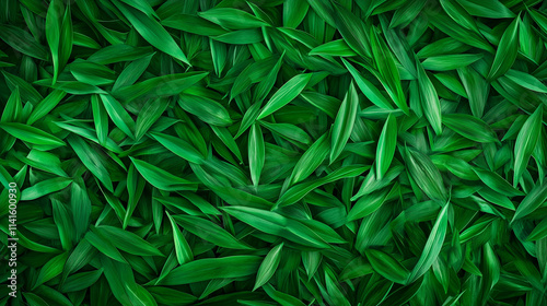 Beautifully Maintained Grass Blades in Full Bloom, Displaying Uniform Greenery and Vibrant Health.