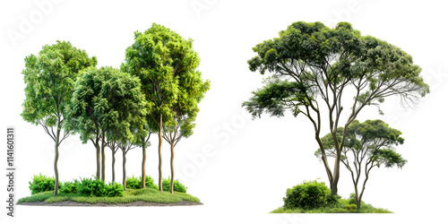 Fototapeta Naklejka Na Ścianę i Meble -  jungle trees lined and shrubs on greenery meadows. Generative AI.