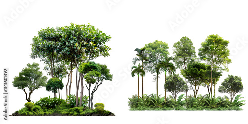 Fototapeta Naklejka Na Ścianę i Meble -  jungle trees lined and shrubs on greenery meadows. Generative AI.