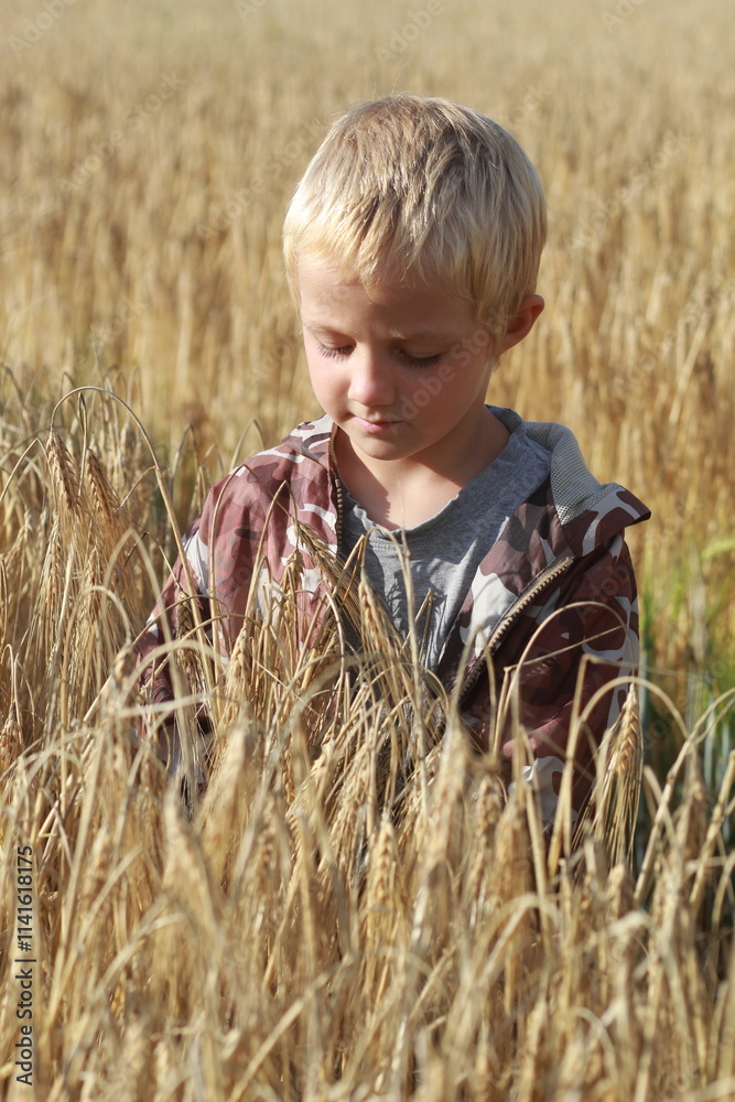 Boy running and smiling in a golden wheat field in summer sunset
Boy running and smiling in a golden wheat field in summer sunset