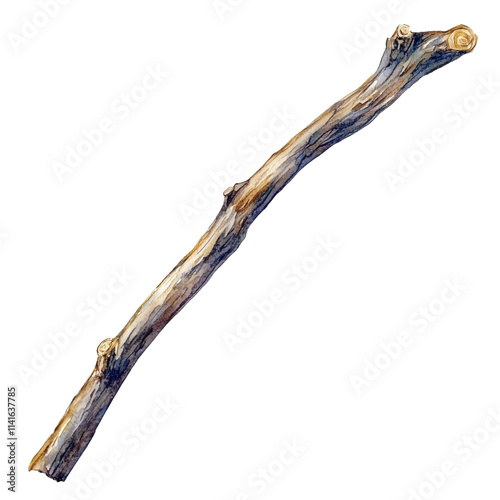 A Detailed Watercolor Painting of a Single Tree Branch