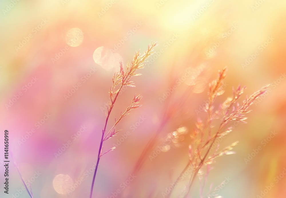 Soft and Dreamy Close-Up of Delicate Grasses with Blurred Pastel Colors and Bokeh Effect, Perfect for Nature and Abstract Themes in Photography Soft and Dreamy Close-Up of Delicate Grasses with Blurred Pastel Colors and Bokeh Effect, Perfect for Nature and Abstract Themes in Photography