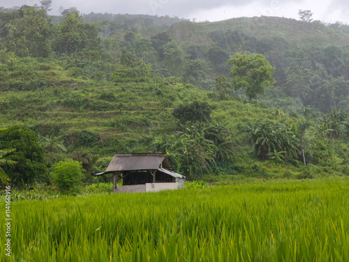 In the middle of a lush green field stands a small, cozy hut