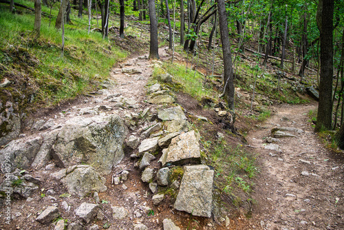 Wanderpfad im Bodetal photo