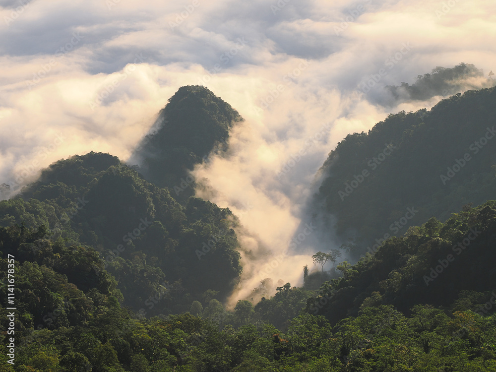 Pha Tung Mountain at Chiang Rai , Thailand Pha Tung Mountain at Chiang Rai , Thailand