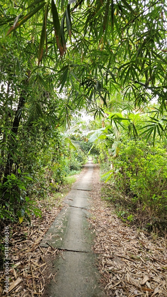 A narrow village street in countryside of Mang Thit district, Vinh Long province, Mekong Delta Vietnam in the morning. A narrow village street in countryside of Mang Thit district, Vinh Long province, Mekong Delta Vietnam in the morning.