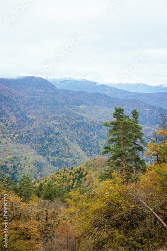 Autumn mountains of the Borjomi Reserve. Pines on the edge of a hill dominate the foreground, revealing a stunning view of the mountains in the distance photo