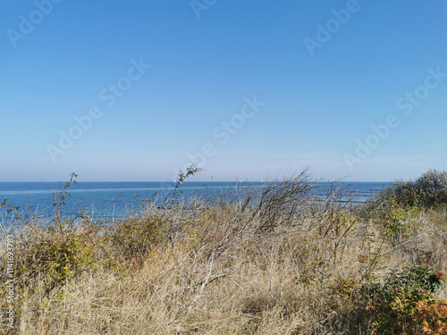 Coastal protection dunes on the Baltic Sea beach in Germany photo