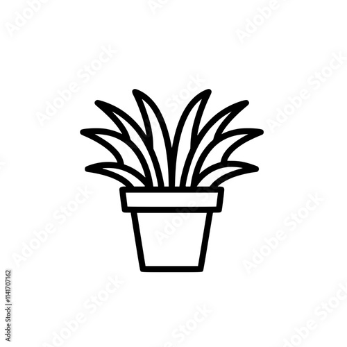 cactus in a pot