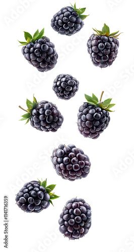 Quadro em tela Fresh blackberries in mid air isolated on transparent background