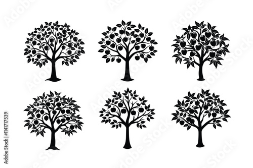 vector of Peach Tree (Prunus persica) design, labeled vector art, linocut silhouette illustration.