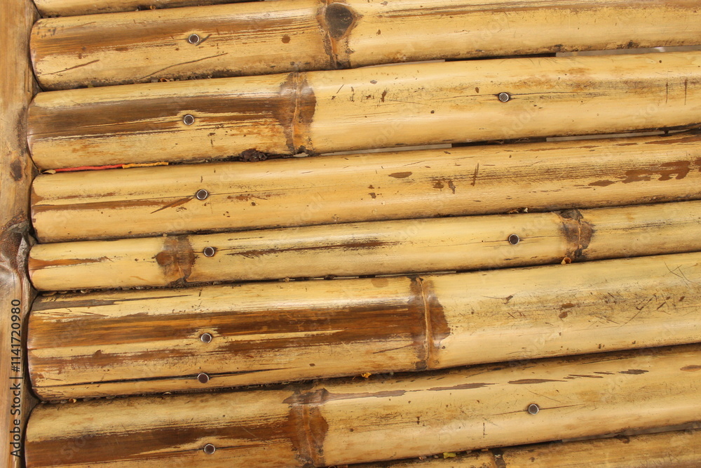 Naklejka premium bamboo