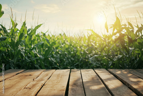 Empty Wooden Table In Front of a Vast Corn Field, Corn Based Product Background Display photo