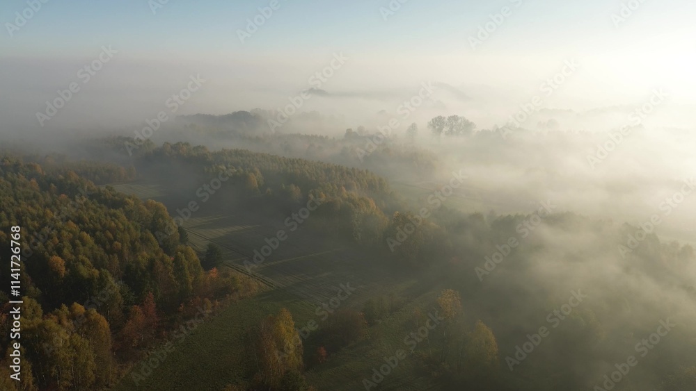 Fototapeta premium Aerial view of morning fog covering autumn forest and fields at sunrise
