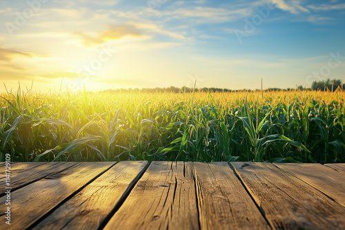 Empty Wooden Table In Front of a Vast Corn Field, Corn Based Product Background Display
