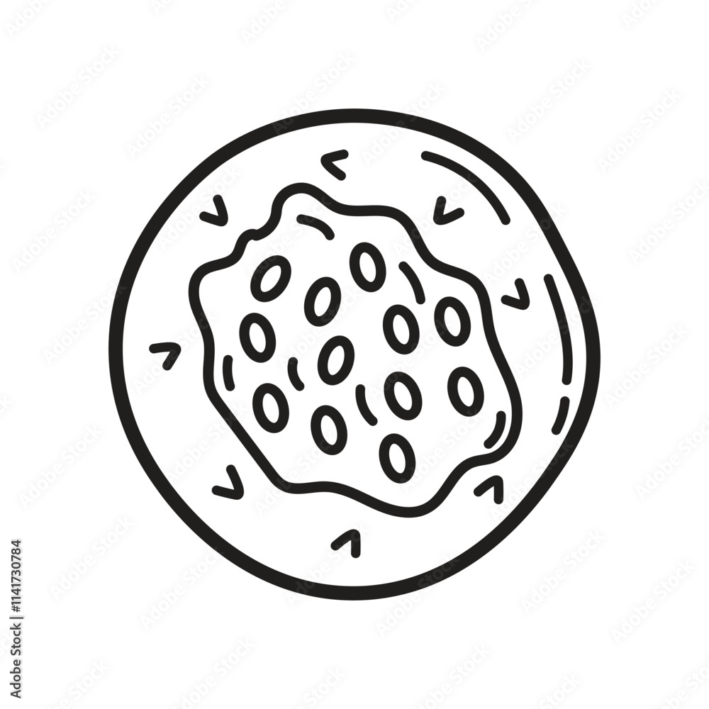 Hand Drawn Sushi Roll Hand Drawn Sushi Roll