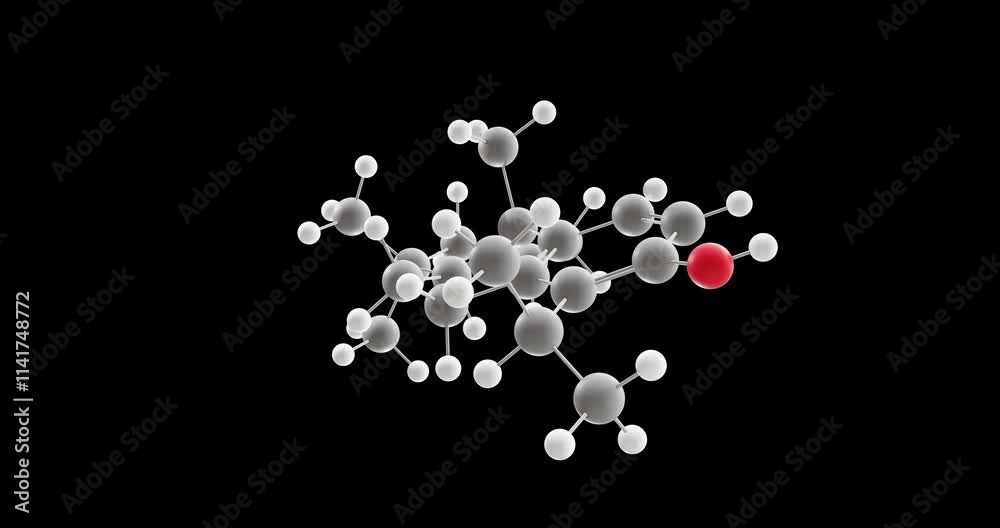 Totarol molecule, rotating 3D model of naturally diterpene, looped video on a black background Totarol molecule, rotating 3D model of naturally diterpene, looped video on a black background