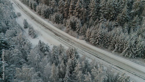 a road in a snow-covered white spruce forest photo