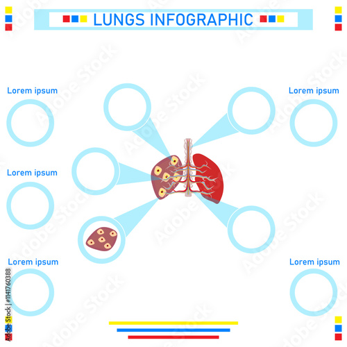 lungs info graphic,health medical concept vector illustration