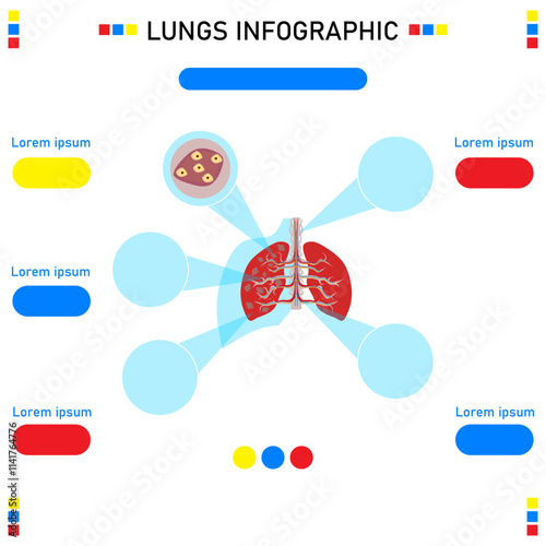 lungs info graphic,health medical concept vector illustration