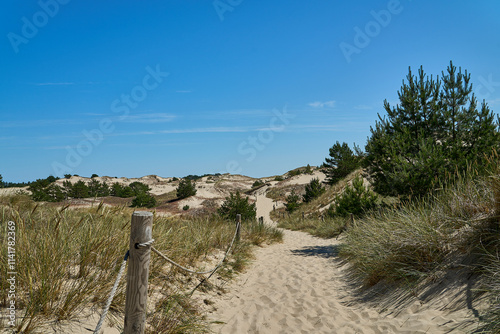 Sand dune at a beautiful beach in Slowinski National Park. photo