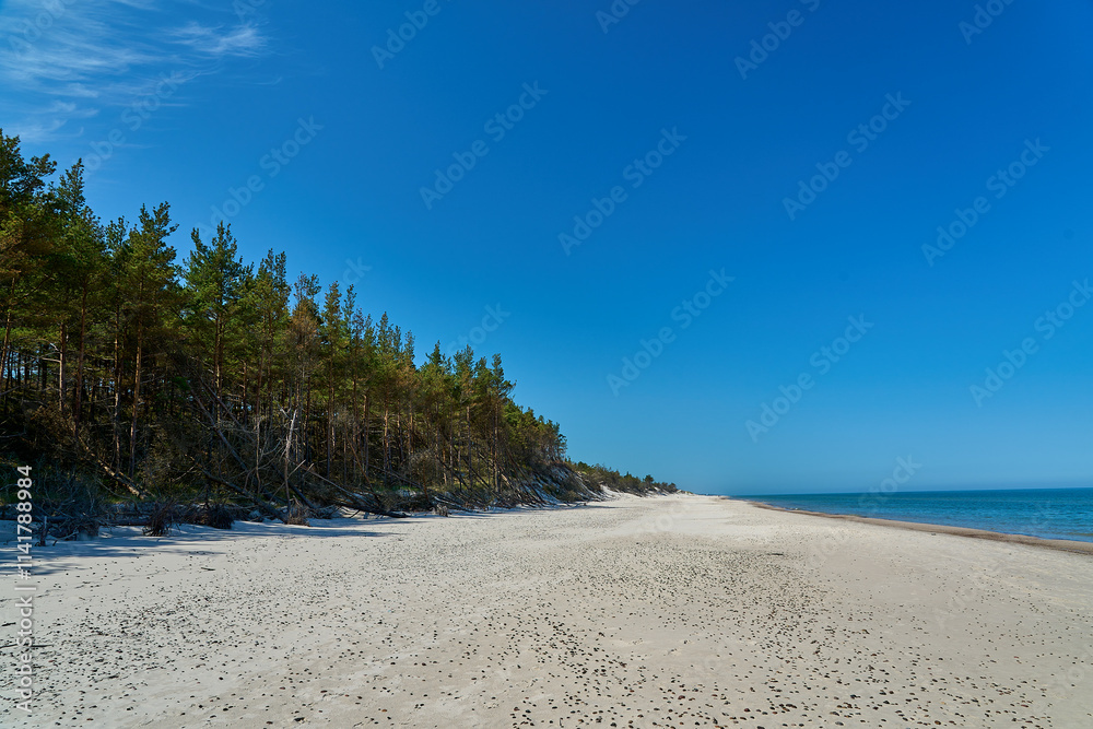 Sand dune at a beautiful beach in Slowinski National Park. Sand dune at a beautiful beach in Slowinski National Park.