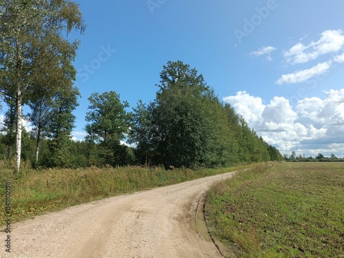 Road in forest in Siauliai county during sunny summer day. Oak and birch tree woodland. Sunny day with white clouds in blue sky. Bushes are growing in woods. Sandy road. Nature. Miskas.