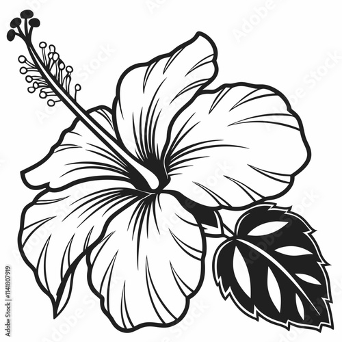 Flower Vector illustration