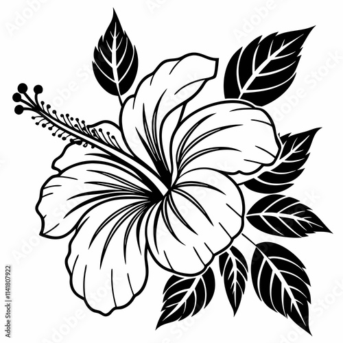 Flower Vector illustration